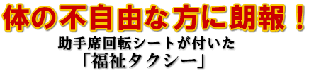 ̂̕sRȕɘN
